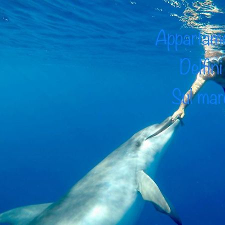 Appartamento Delfini Sul Mare Гольфо-Аранчи Экстерьер фото
