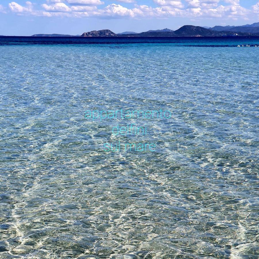 Appartamento Delfini Sul Mare Гольфо-Аранчи Экстерьер фото