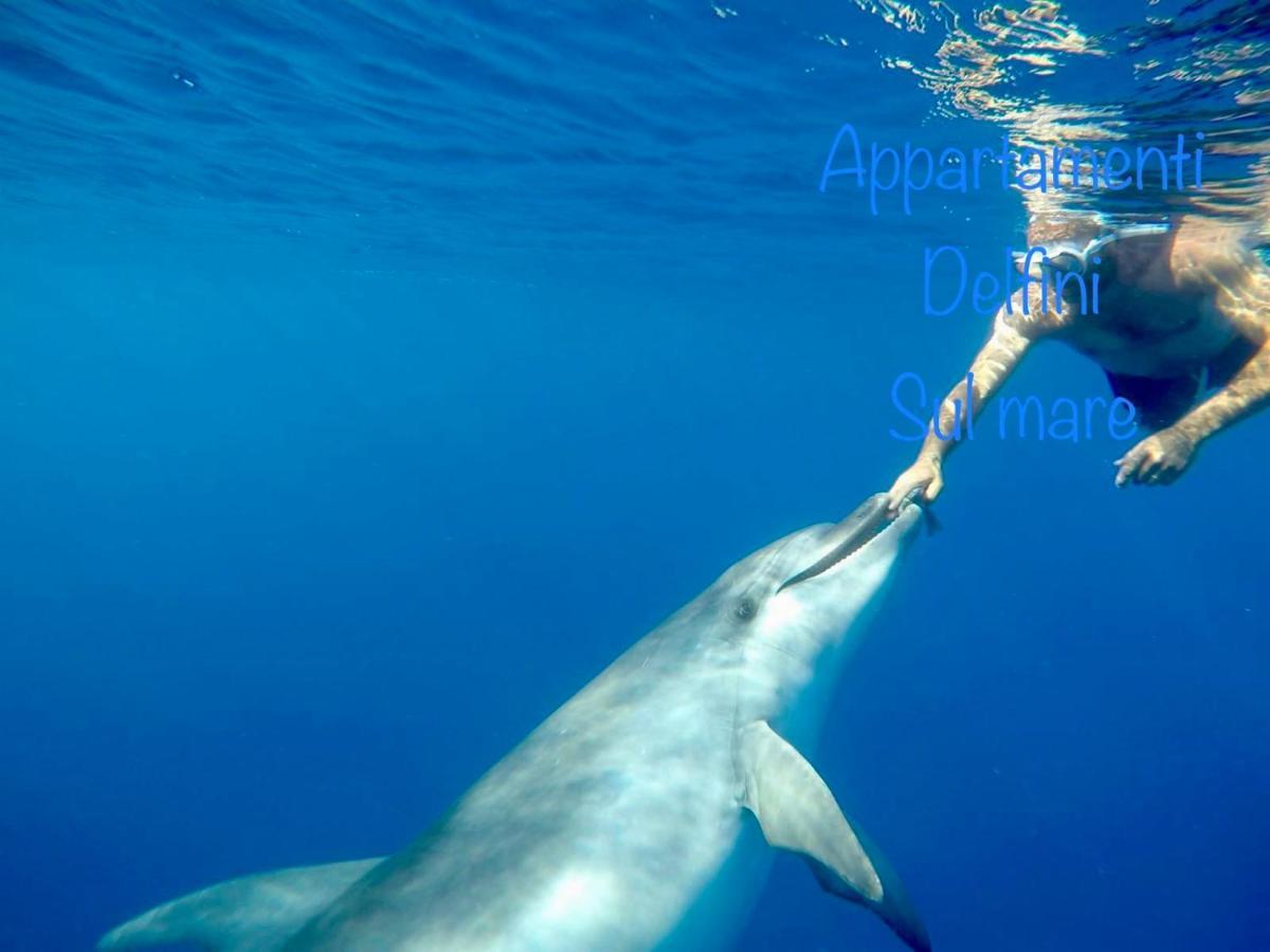Appartamento Delfini Sul Mare Гольфо-Аранчи Экстерьер фото